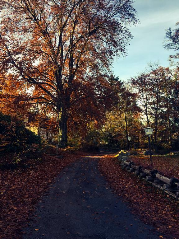 Le Chalet Luttenbach-près-Munster エクステリア 写真