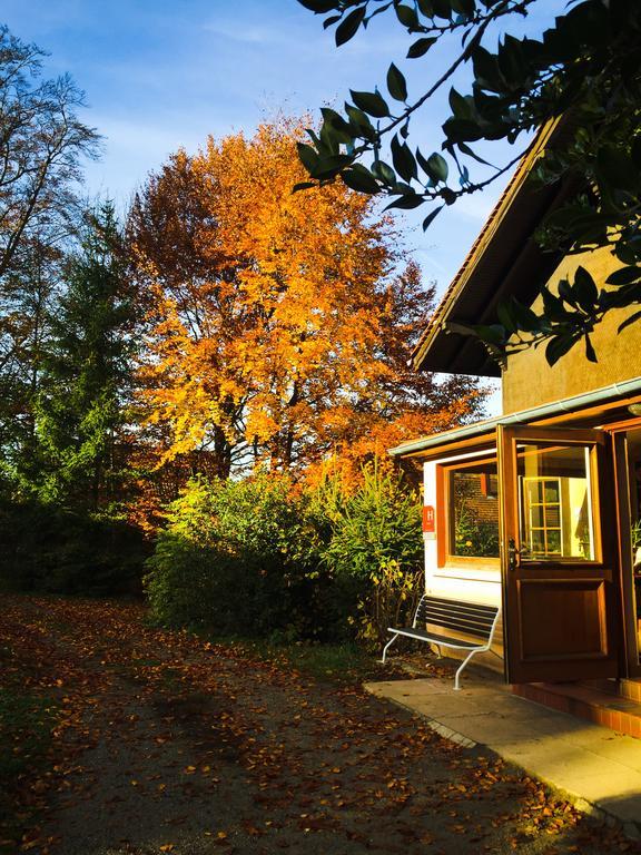 Le Chalet Luttenbach-près-Munster エクステリア 写真