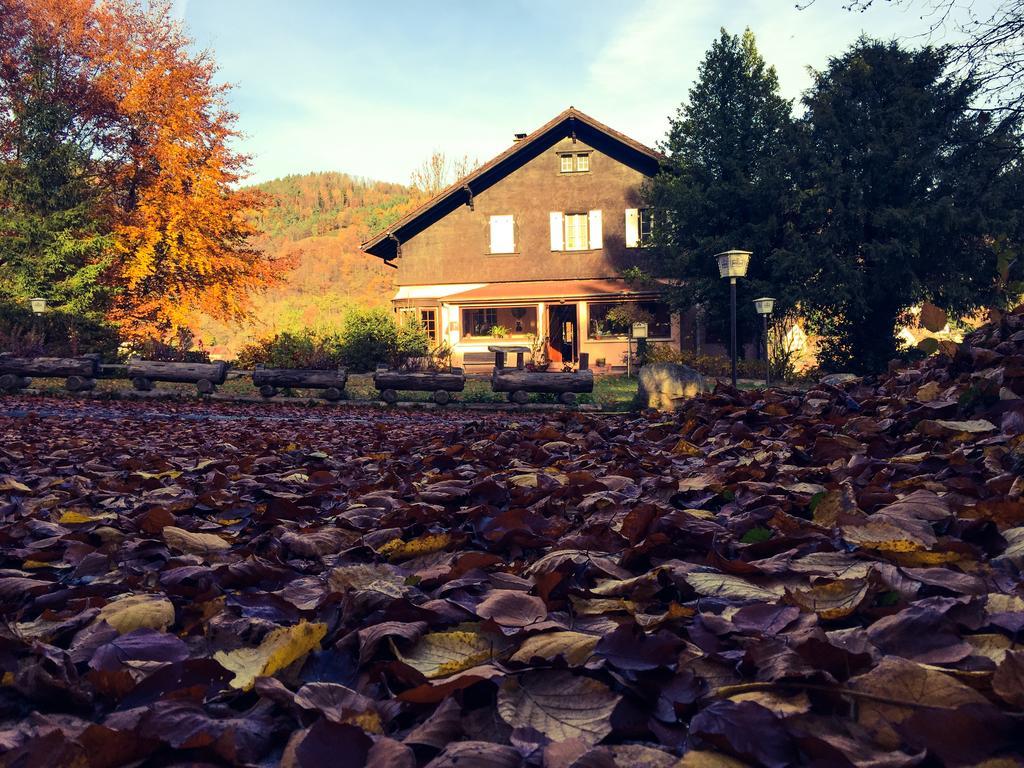 Le Chalet Luttenbach-près-Munster エクステリア 写真
