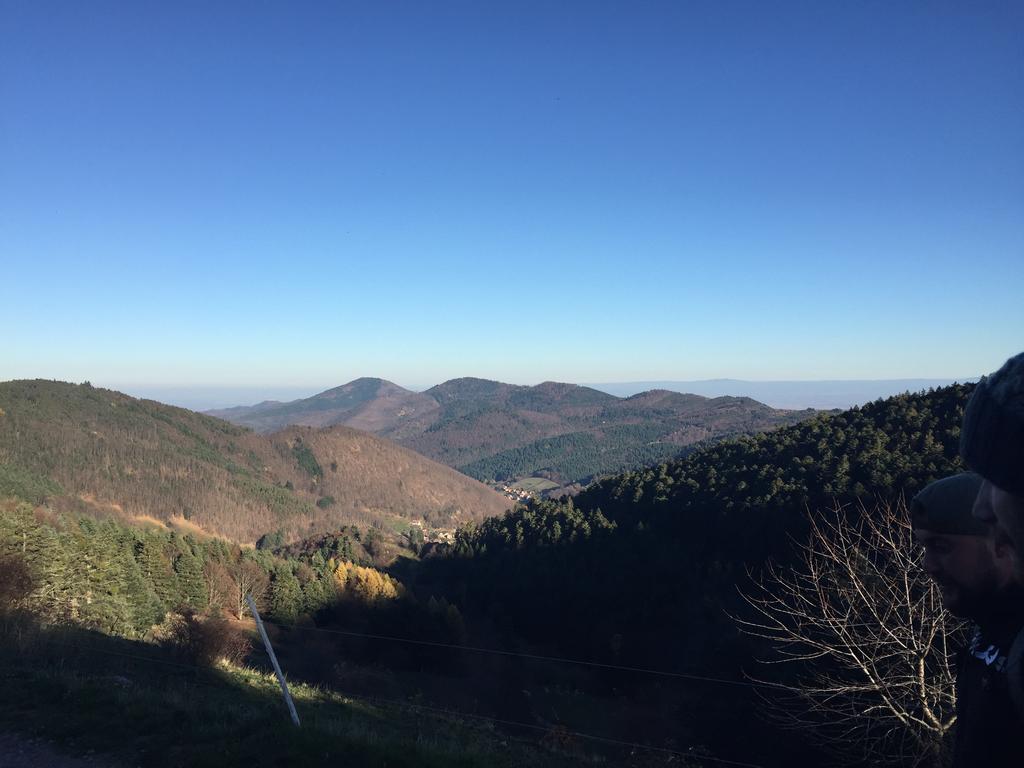 Le Chalet Luttenbach-près-Munster エクステリア 写真