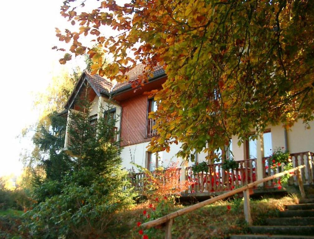 Le Chalet Luttenbach-près-Munster エクステリア 写真