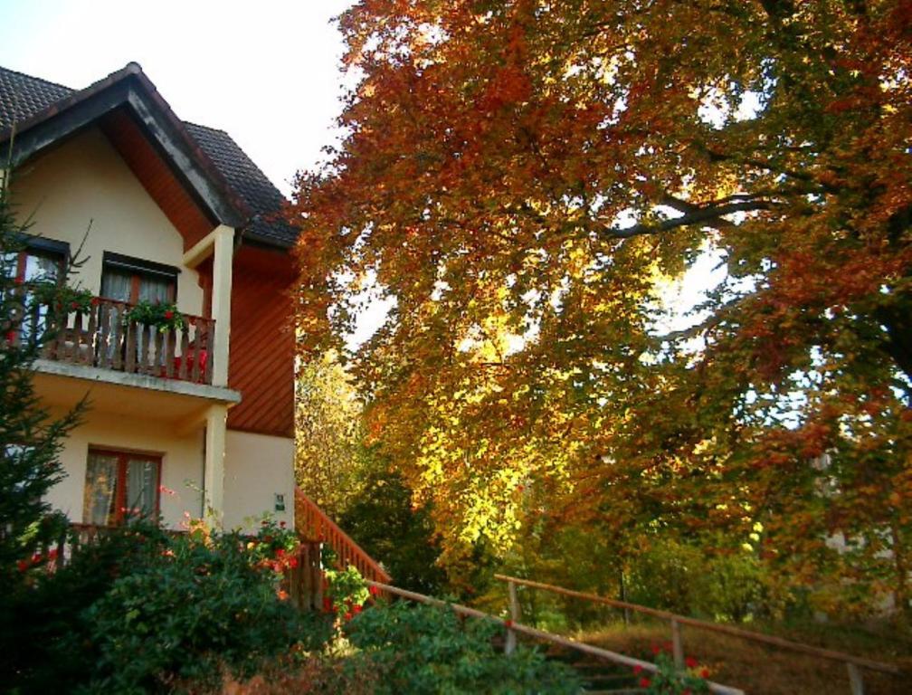 Le Chalet Luttenbach-près-Munster エクステリア 写真