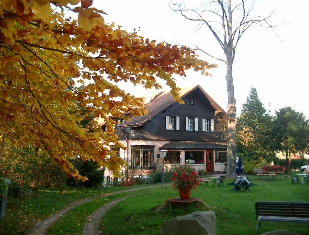Le Chalet Luttenbach-près-Munster エクステリア 写真