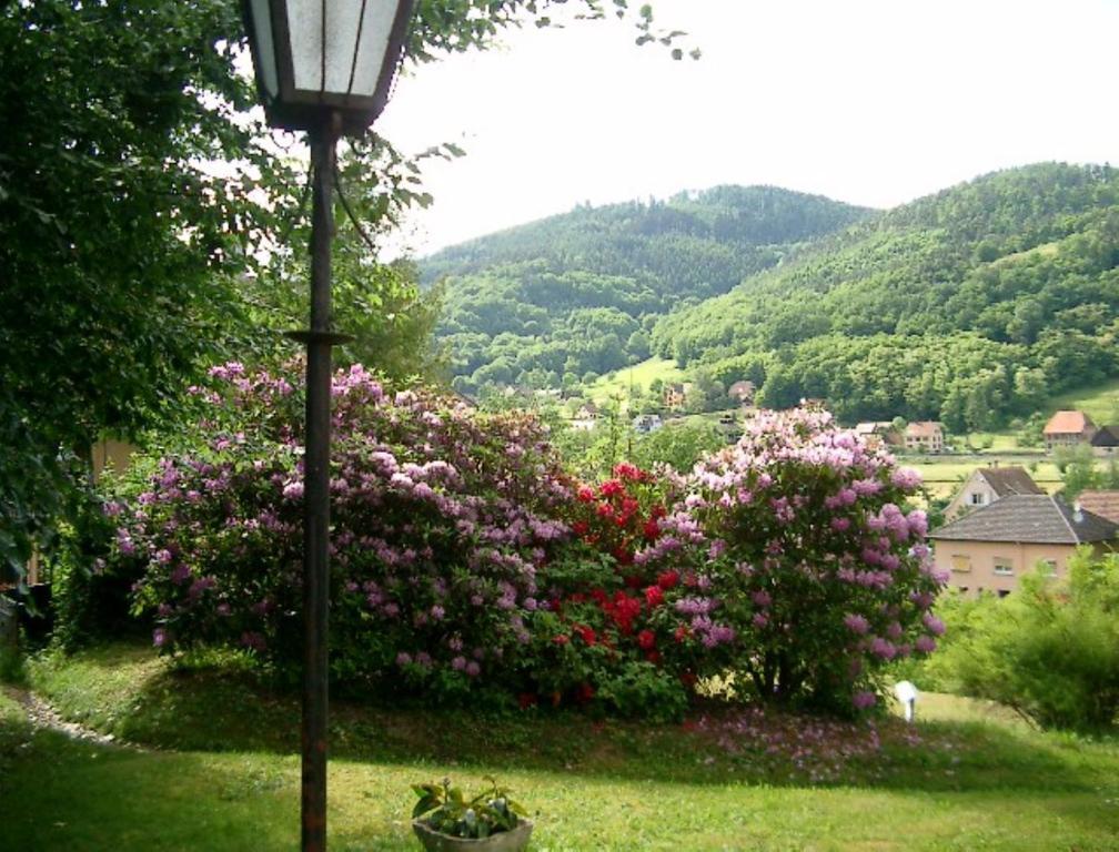 Le Chalet Luttenbach-près-Munster エクステリア 写真