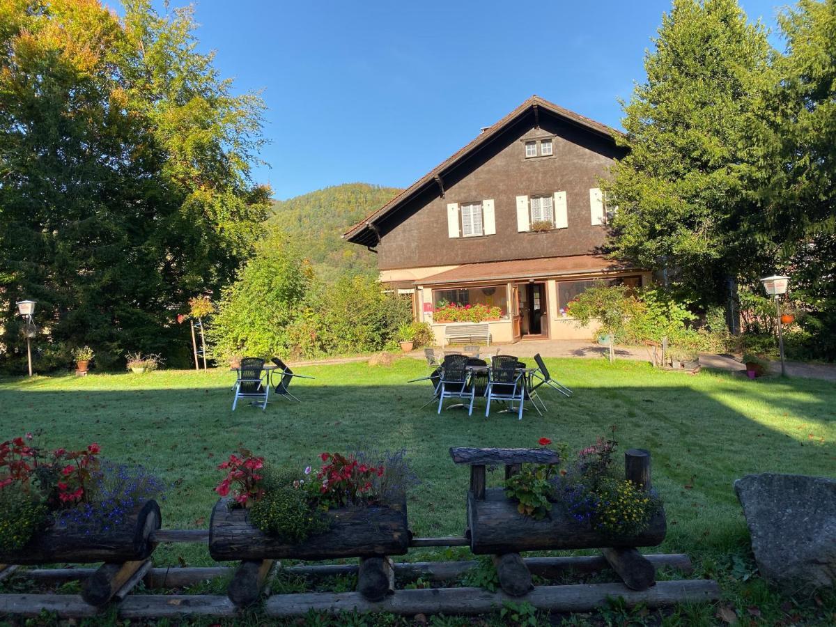 Le Chalet Luttenbach-près-Munster エクステリア 写真